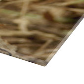 Panther Cap Mushroom Glass Chopping Board Schneidebrett (Ecke)