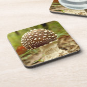 Panther Cap Mushroom Hard Plastic Coasters Untersetzer (Linke Seite)
