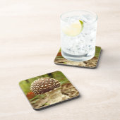 Panther Cap Mushroom Hard Plastic Coasters Untersetzer (Rechte Seite)