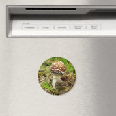 Panther Cap Mushroom Magnet (In Situ (Geschirrspüler))