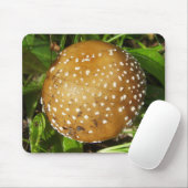 Panther Cap Mushroom Mouse Mat Mousepad (Mit Mouse)
