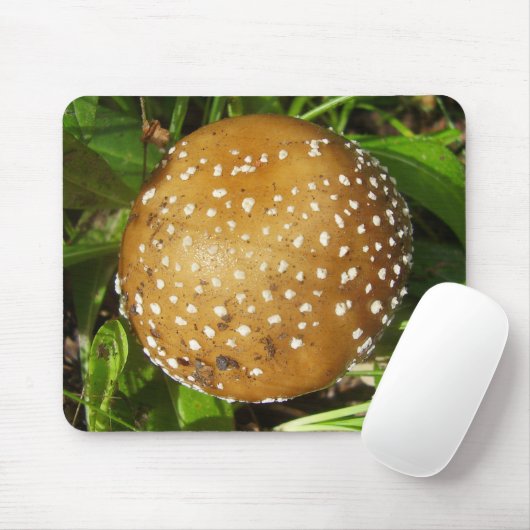 Panther Cap Mushroom Mouse Mat Mousepad (Mit Mouse)