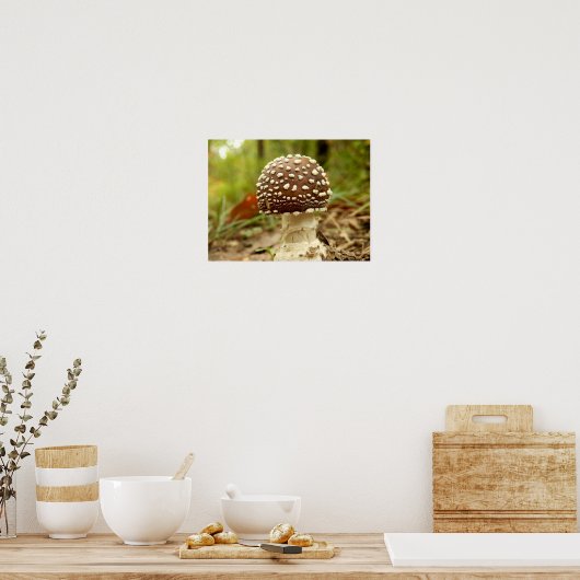 Panther Cap Mushroom Poster (Küche)