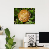 Panther Cap Mushroom Poster (Heimbüro)