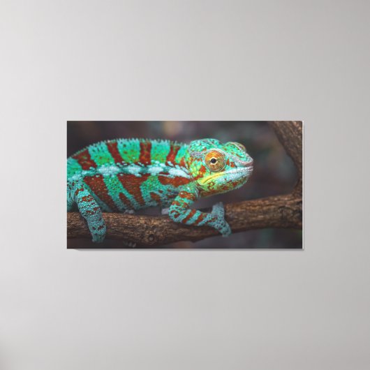 Panther Chameleon Canvas Print Leinwanddruck (Vorderseite)