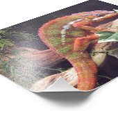 Panther Chameleon Fotodruck (Ecke)