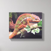 Panther Chameleon Leinwanddruck (Vorderseite)