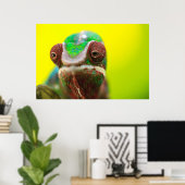Panther Chameleon, Madagaskar Poster (Heimbüro)