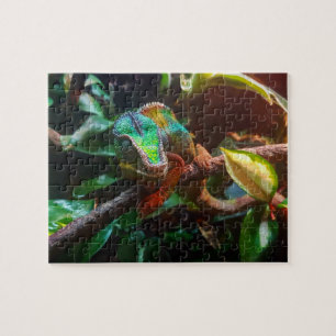 Panther Chameleon Owner Reptile Puzzle