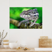 Panther Chameleon Poster (Küche)
