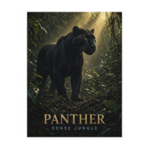 Panther Dichter Dschungel Wildlife TIER