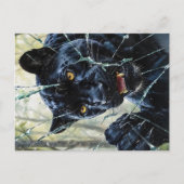 Panther durchbrechen postkarte (Vorderseite)