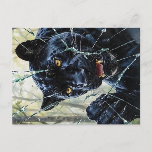 Panther durchbrechen postkarte (Vorderseite)