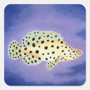 Panther Grouper Quadratischer Aufkleber