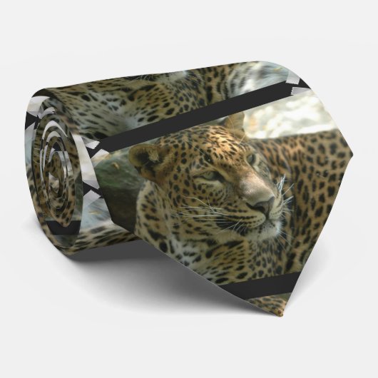 Panther Krawatte (Gerollt)