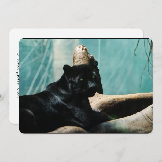 Panther mit Piercing-Augen Einladung (Vorne/Hinten)