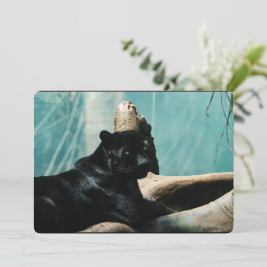 Panther mit Piercing-Augen Einladung (Stehend Vorderseite)