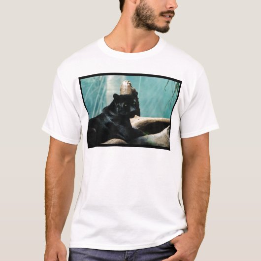 Panther mit Piercing Augen T-Shirt (Vorderseite)