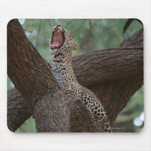 Panther Mousepad (Vorne)