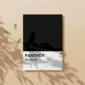 Panther Movie Black - Vollbreite Poster