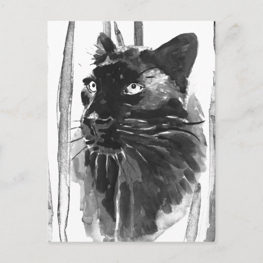 Panther Portrait Postkarte (Vorderseite)