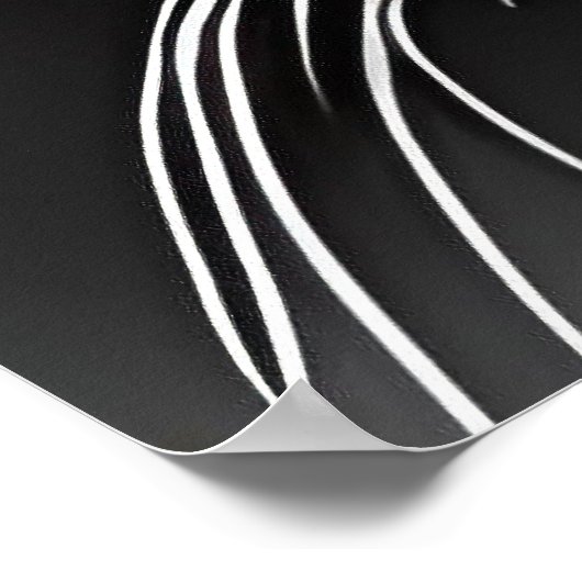 Panther Poster (Ecke)