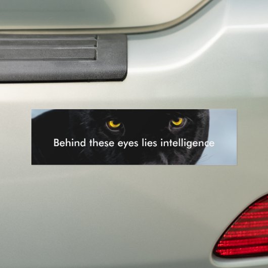 Panthera Autoaufkleber (Auf Auto)