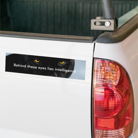 Panthera Autoaufkleber (Auf Lkw)