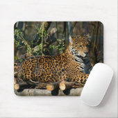 Panthera-Jaguar-Mausunterlage Mousepad (Mit Mouse)