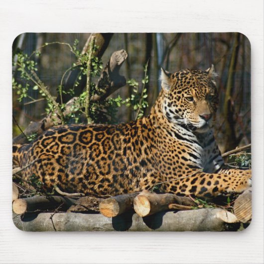Panthera-Jaguar-Mausunterlage Mousepad (Vorne)