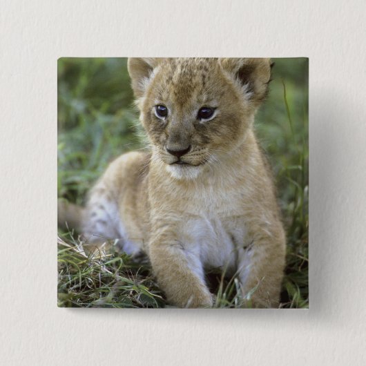 Panthera leo), Tansania, Button (Vorderseite)