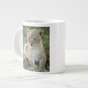 Panthera leo), Tansania, Jumbo-Tasse