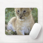 Panthera leo), Tansania, Mousepad (Mit Mouse)