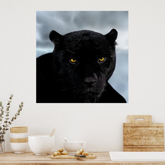 Panthera Poster (Küche)
