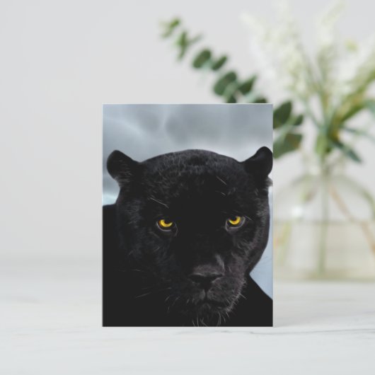 Panthera Postkarte (Stehend Vorderseite)