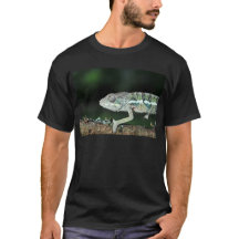 Pantherchamäleon