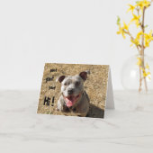Panting Pitbull Hi Notecard Karte (Gelbe Blume)