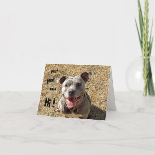 Panting Pitbull Hi Notecard Karte