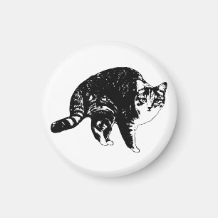 Pantry Glow Tabby Magnet