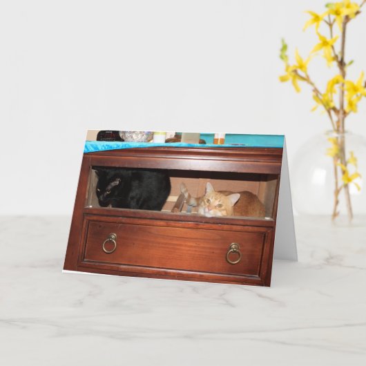 Panty Raid Karte (Gelbe Blume)