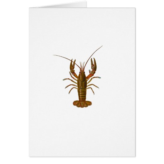 Panzerkrebs-Logo (Vorne)