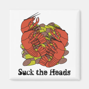 Panzerkrebs-Magnet Magnet