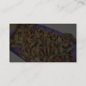 PanzerkrebseCrawdads Visitenkarte (Rückseite)