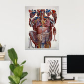 Paolo Mascagni Illustration der menschlichen Visce Poster (Heimbüro)