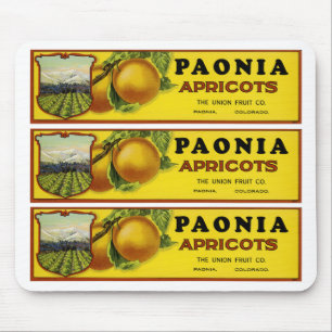 Paonia Apricots - Filmtabletten Mousepad