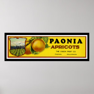 Paonia Apricots - Filmtabletten Poster