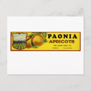 Paonia Apricots - Filmtabletten Postkarte