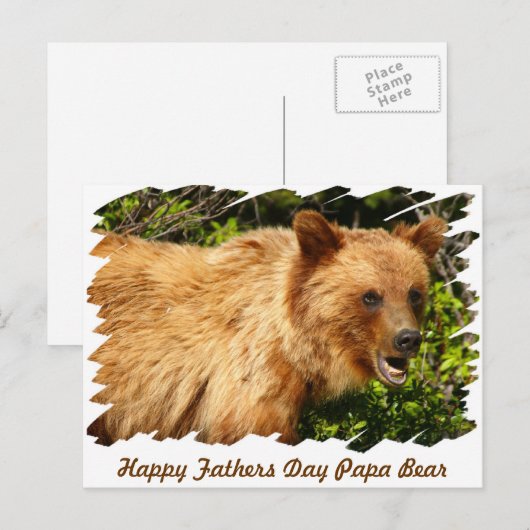 Papa Bear Postkarte (Vorne/Hinten)