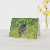Papa Bear Vatertag Karte (Gelbe Blume)