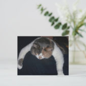 Papa, ich bin beat! postkarte (Stehend Vorderseite)